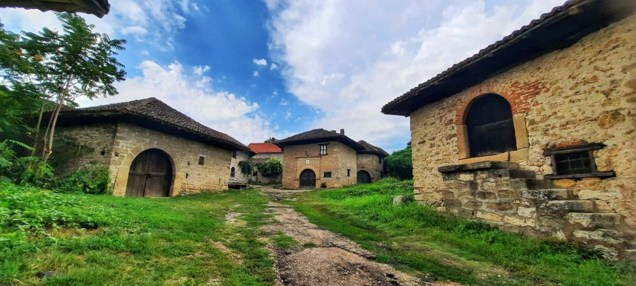 Vila Milenovic Rajacke Pivnice Zewnętrze zdjęcie