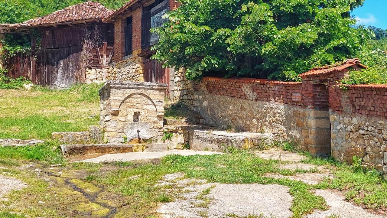Vila Milenovic Rajacke Pivnice Zewnętrze zdjęcie